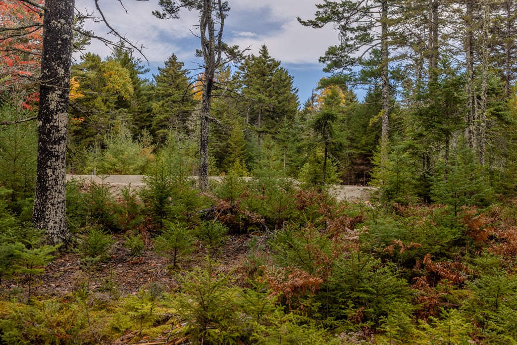 Photo of 33 Pine Cone Lane, Surry, ME 04684 (MLS # 1685532)