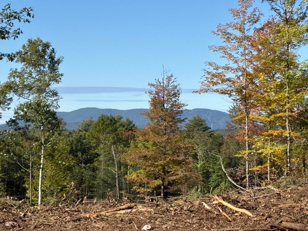 Photo of 0 Edes Falls Road, Harrison, ME 04040 (MLS # 1684640)