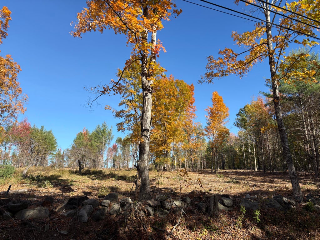 Photo of 0 Edes Falls Road, Harrison, ME 04040 (MLS # 1684640)