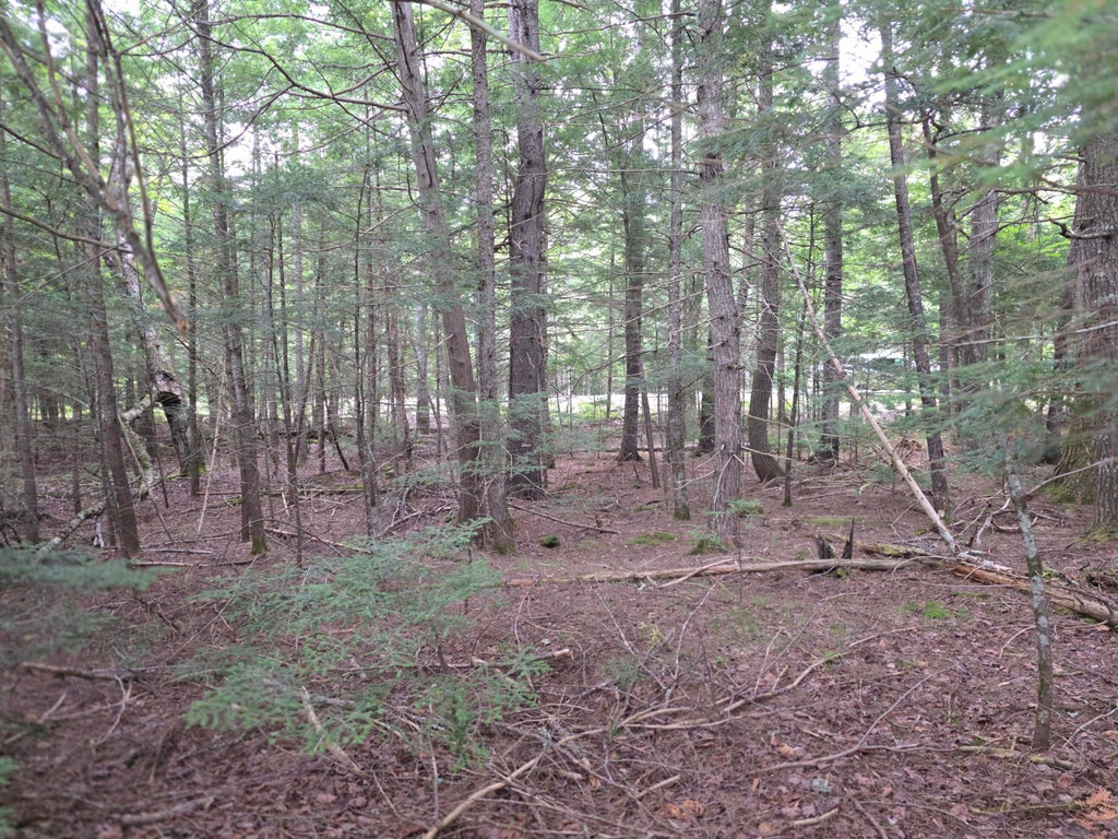 Photo of Lot N US RT 2, Macwahoc Plt, ME 04451 (MLS # 1676190)