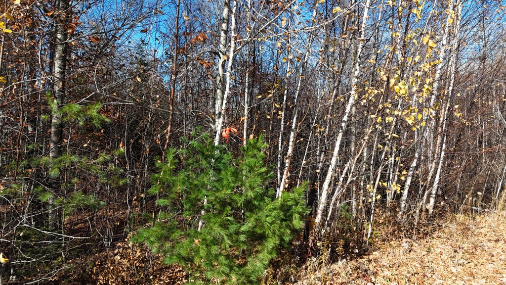 Photo of Lot 4 Spaulding Lane, Lee, ME 04455 (MLS # 1686235)
