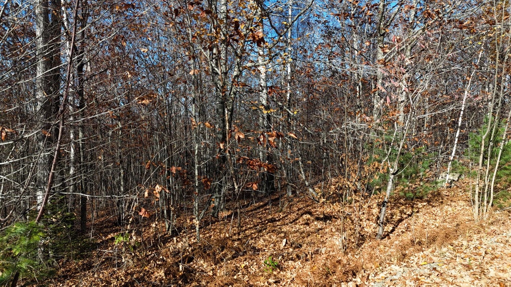 Photo of Lot 4 Spaulding Lane, Lee, ME 04455 (MLS # 1686235)