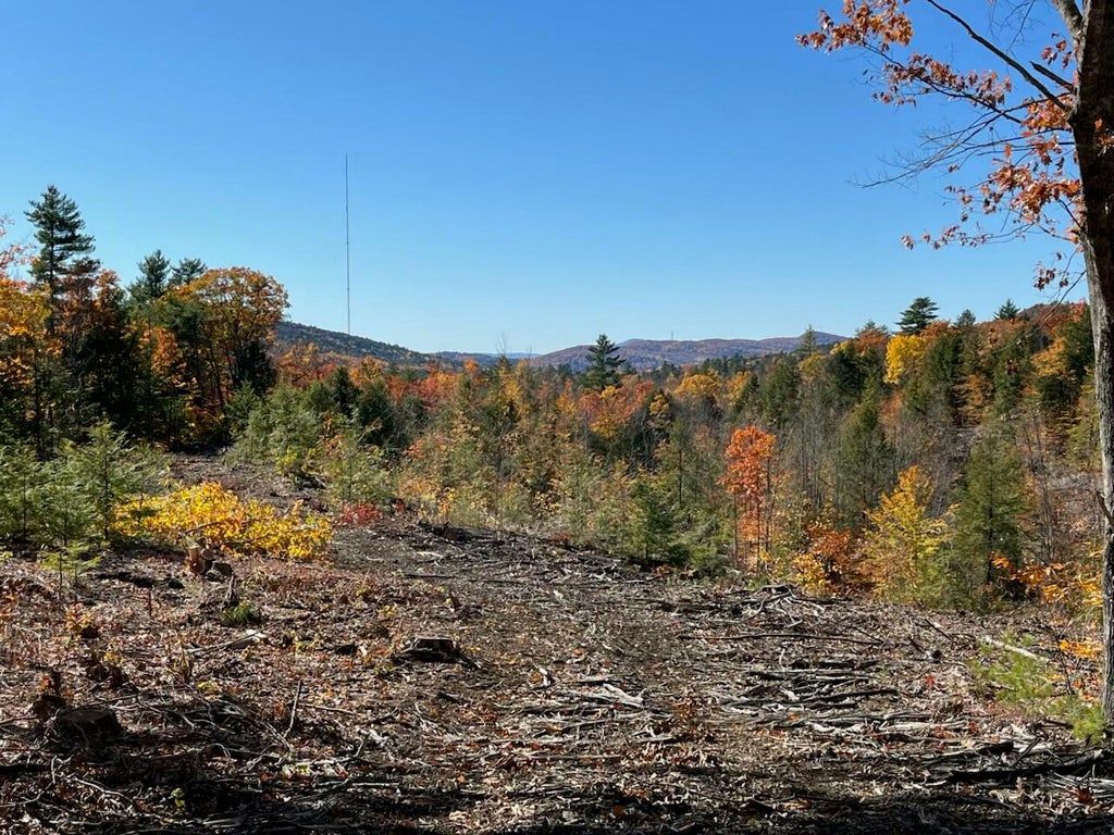 Photo of 0 Dyke Mountain Road, Sebago, ME 04029 (MLS # 1685604)