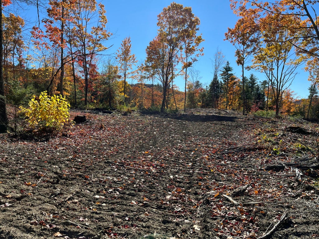 Photo of 0 Dyke Mountain Road, Sebago, ME 04029 (MLS # 1685604)