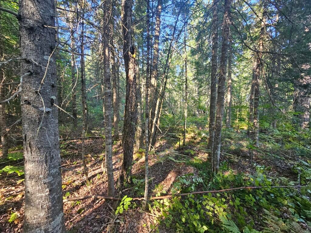 Photo of M11L1 Wilder Davis Road, Hudson, ME 04449 (MLS # 1682771)