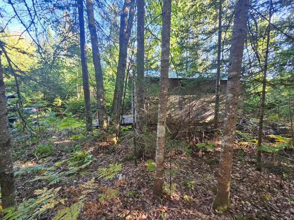 Photo of M11L1 Wilder Davis Road, Hudson, ME 04449 (MLS # 1682771)