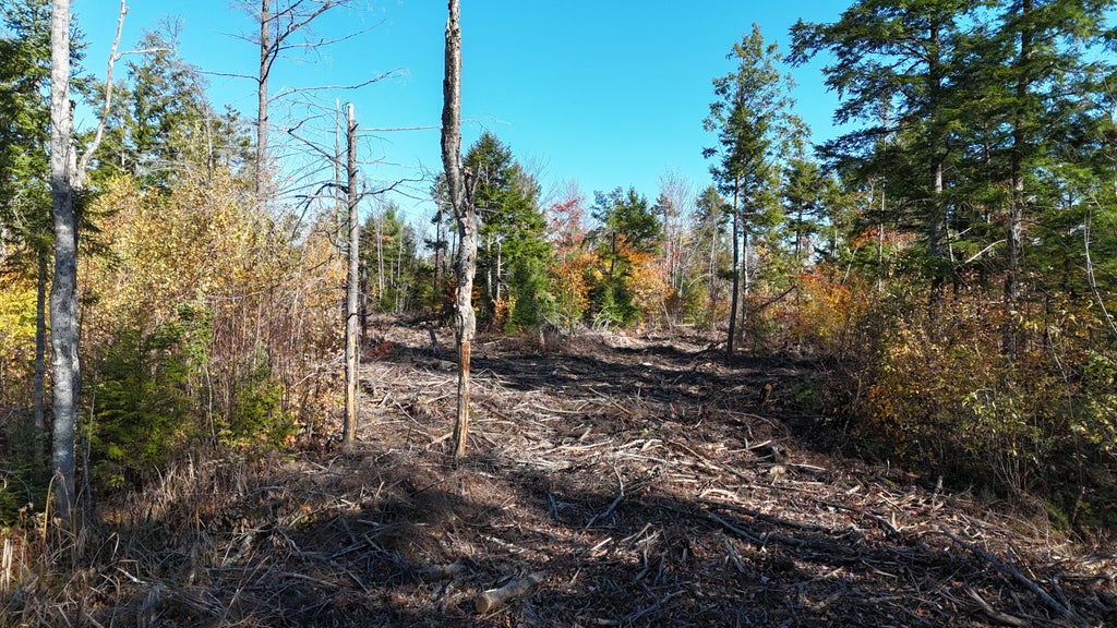Photo of Lot 5 Long Pine Road, Woodville, ME 04457 (MLS # 1684989)