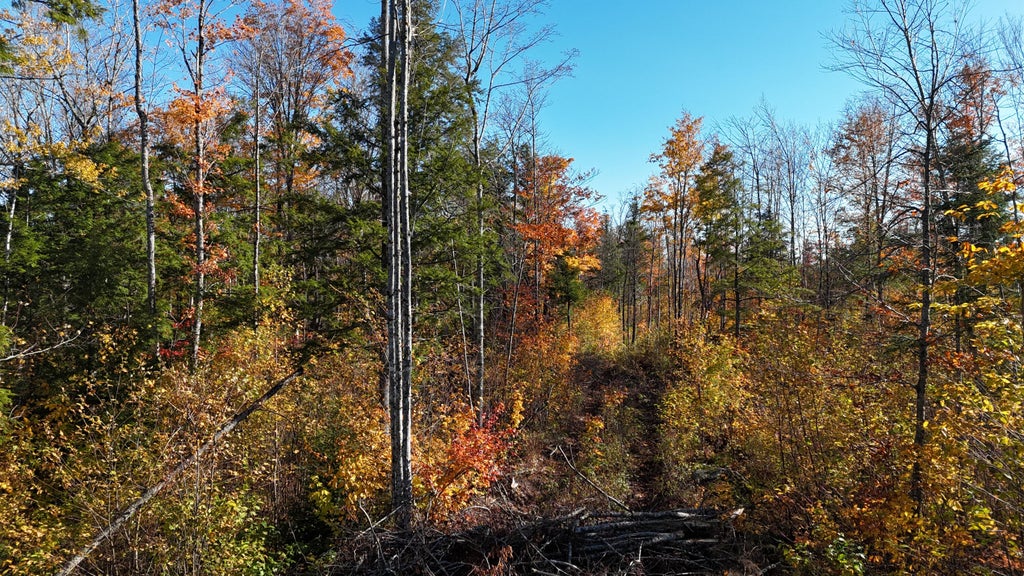 Photo of Lot 5 Long Pine Road, Woodville, ME 04457 (MLS # 1684989)