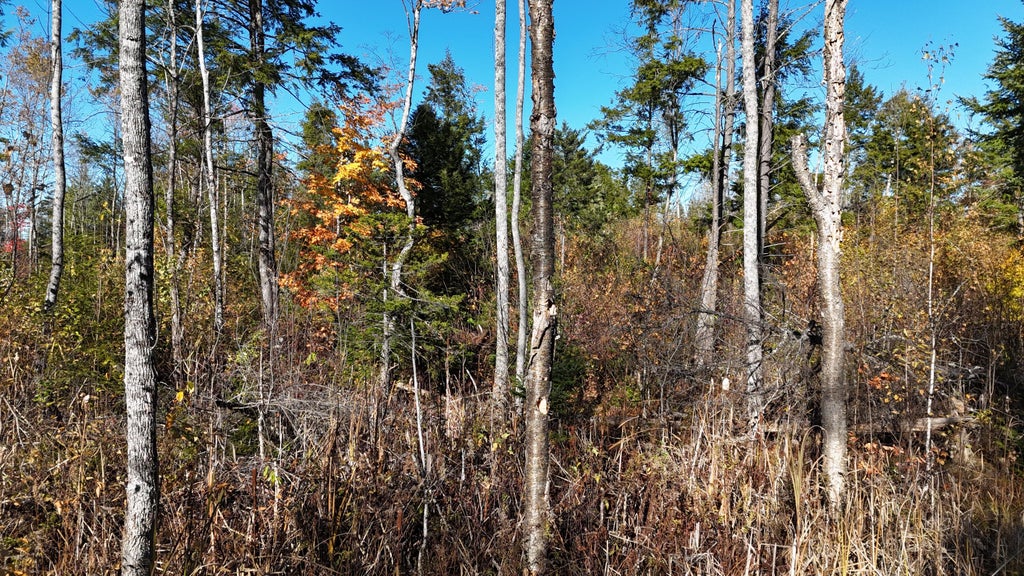 Photo of Lot 5 Long Pine Road, Woodville, ME 04457 (MLS # 1684989)