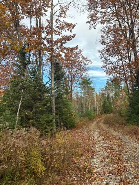 Photo of 187 Farmington Falls Road, New Sharon, ME 04955 (MLS # 1685273)