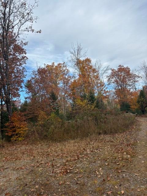 Photo of 187 Farmington Falls Road, New Sharon, ME 04955 (MLS # 1685273)