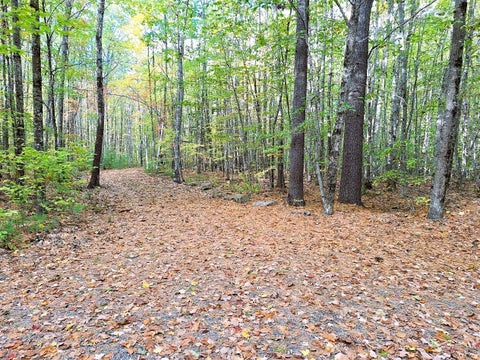 Photo of U12 Lot 44 Fellows Farm Road, Fayette, ME 04349 (MLS # 1685988)