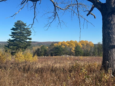 Photo of Lot 14-1 Tourtelotte Ridge Road, Mariaville, ME 04605 (MLS # 1685951)