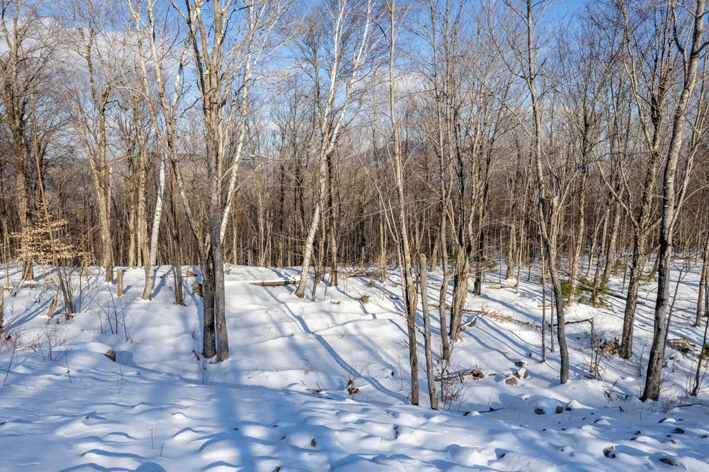 Photo of Lot 17 Garnet Way, Newry, ME 04261 (MLS # 1684610)