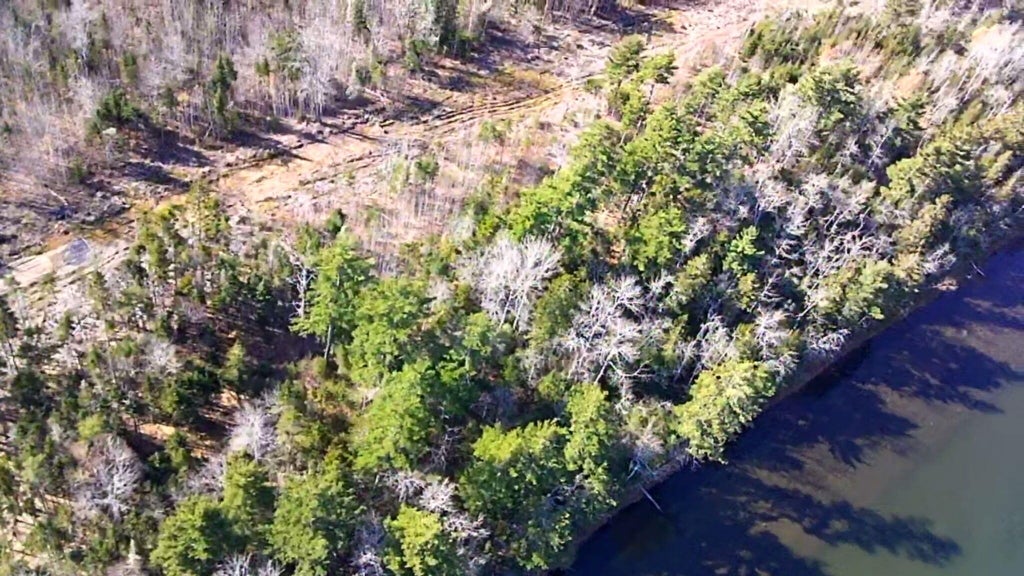 Photo of Lot #2 Runamuck Road, Perry, ME 04667 (MLS # 1686152)