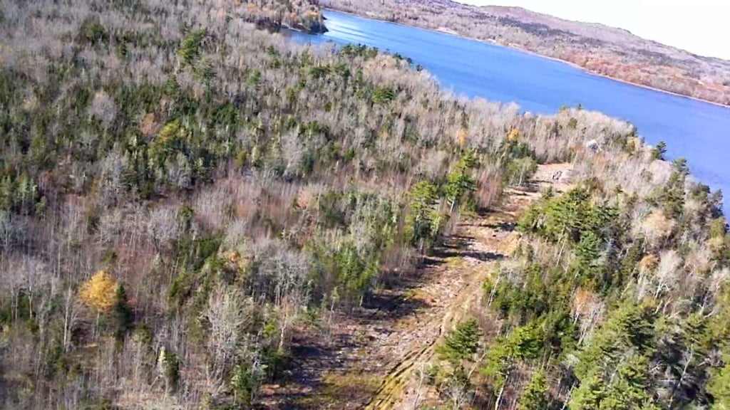 Photo of Lot #2 Runamuck Road, Perry, ME 04667 (MLS # 1686152)