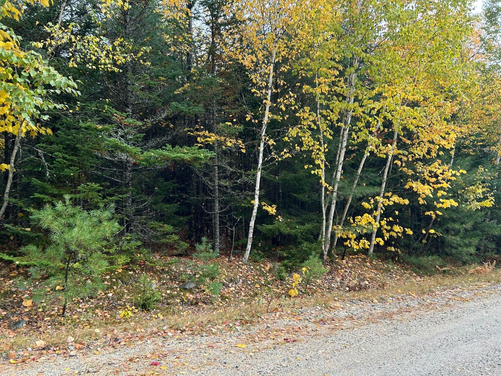 Photo of 9 Pret's Meadow Lane, Blue Hill, ME 04614 (MLS # 1684472)