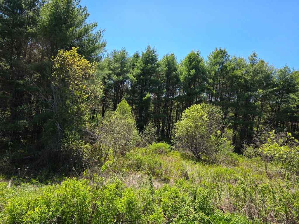 Photo of 4 Goose River Estates, Swanville, ME 04915 (MLS # 1663791)