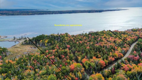 Photo of 62 Stanley Point Road, Steuben, ME 04680 (MLS # 1686356)