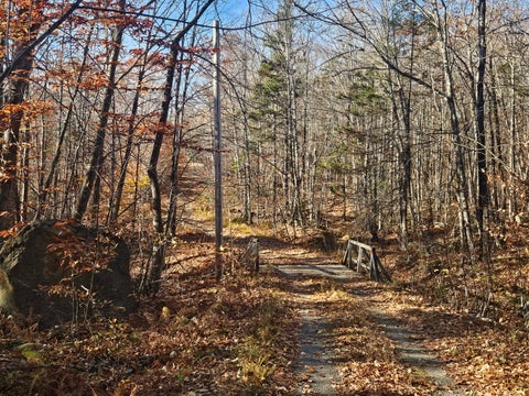 Photo of 134 Pratt Mountain Road, New Vineyard, ME 04956 (MLS # 1686040)