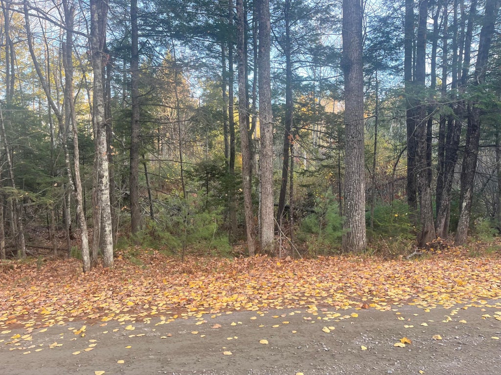 Photo of 0 Luce Road, Readfield, ME 04355 (MLS # 1685496)