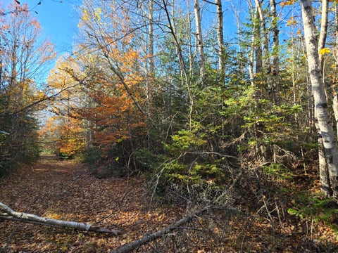 Photo of M8 L17 Off Rt2, Canaan, ME 04924 (MLS # 1685992)