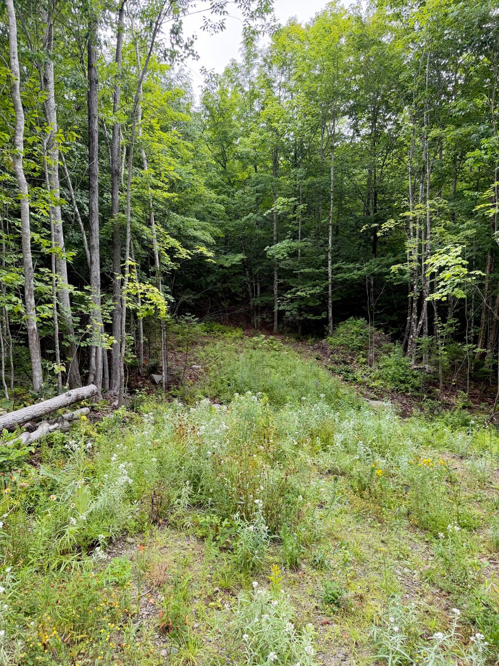 Photo of Lot 2 Mooseley Ridge Road, Phillips, ME 04966 (MLS # 1661657)