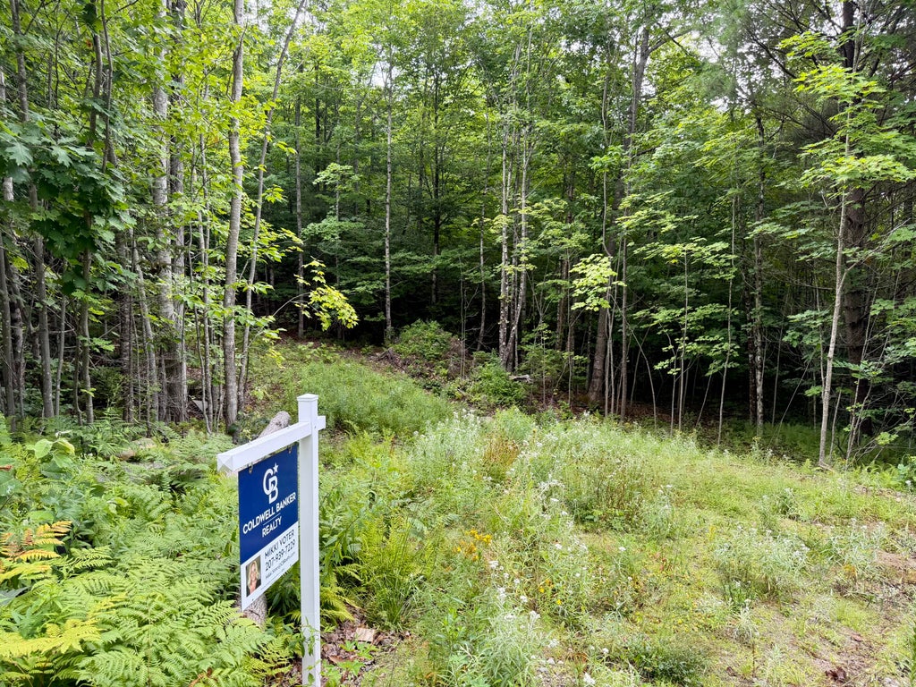 Photo of Lot 2 Mooseley Ridge Road, Phillips, ME 04966 (MLS # 1661657)