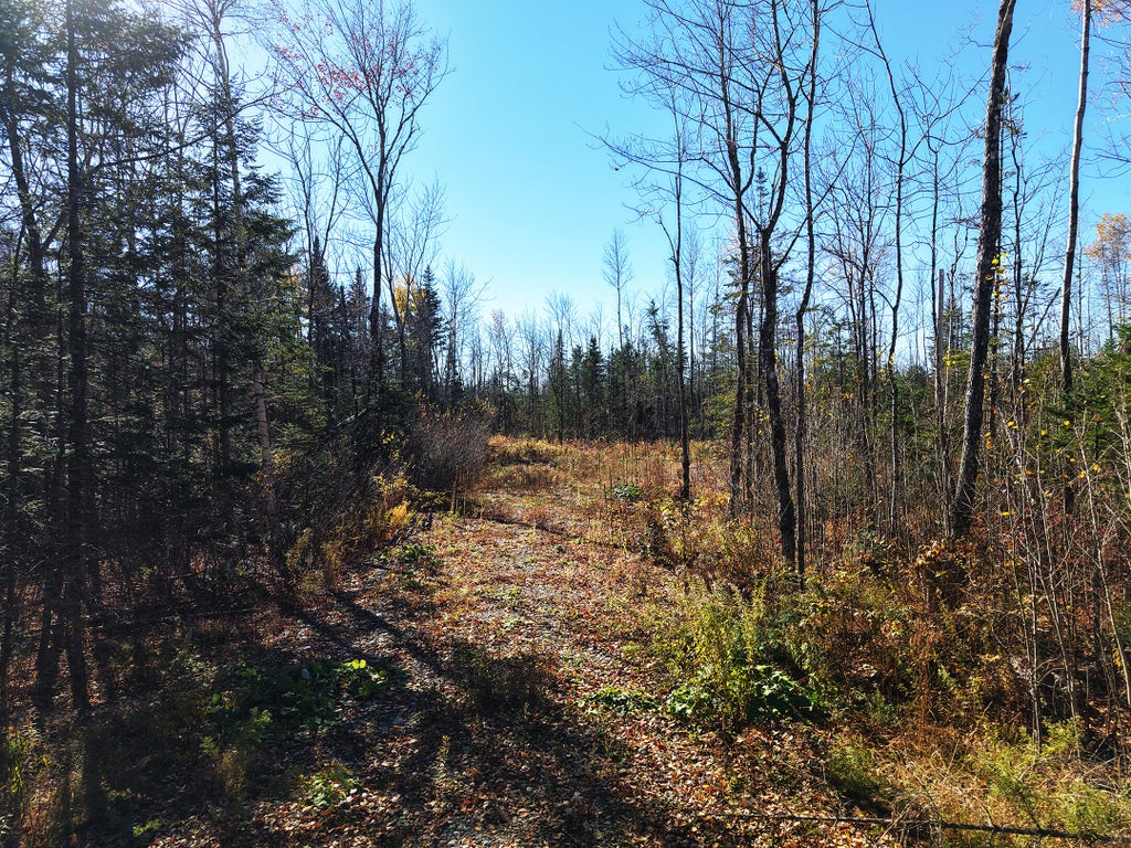 Photo of 301 Estabrook Road, Amity, ME 04471 (MLS # 1685623)