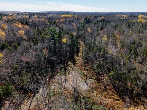 Photo of 301 Estabrook Road, Amity, ME 04471 (MLS # 1685623)