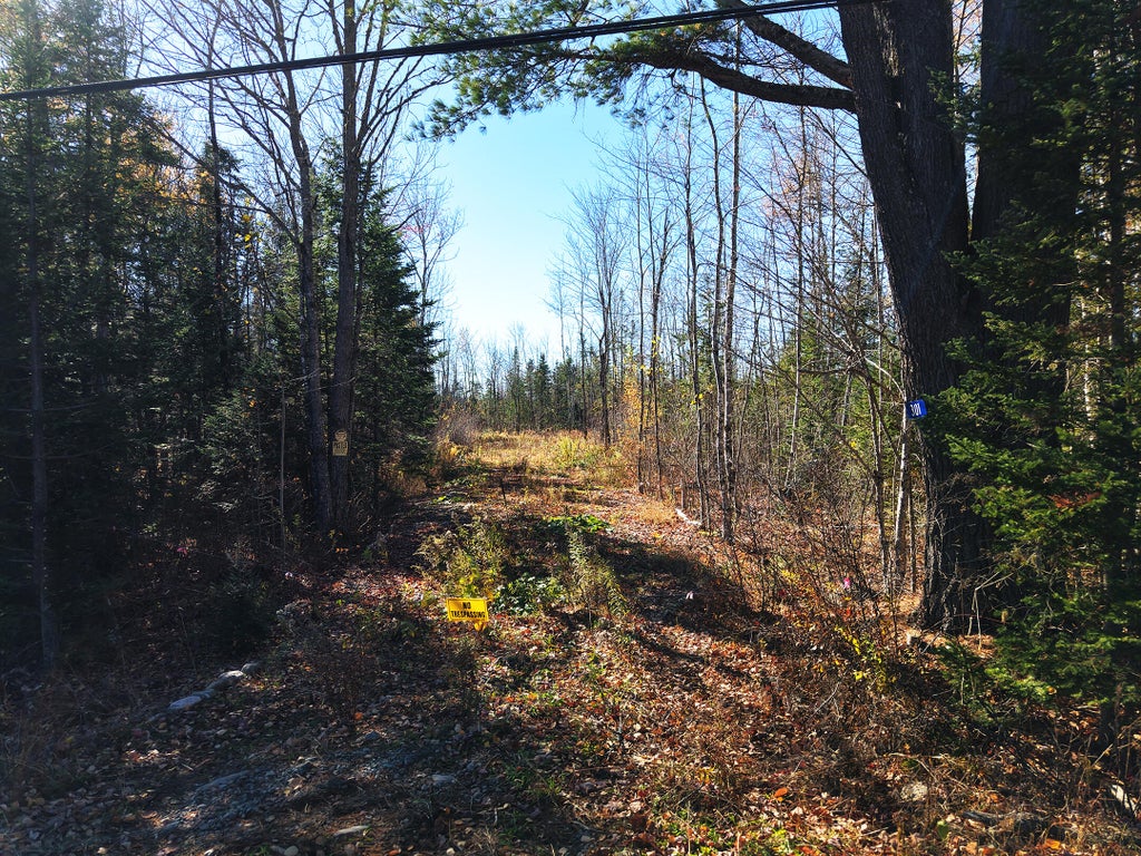 Photo of 301 Estabrook Road, Amity, ME 04471 (MLS # 1685623)
