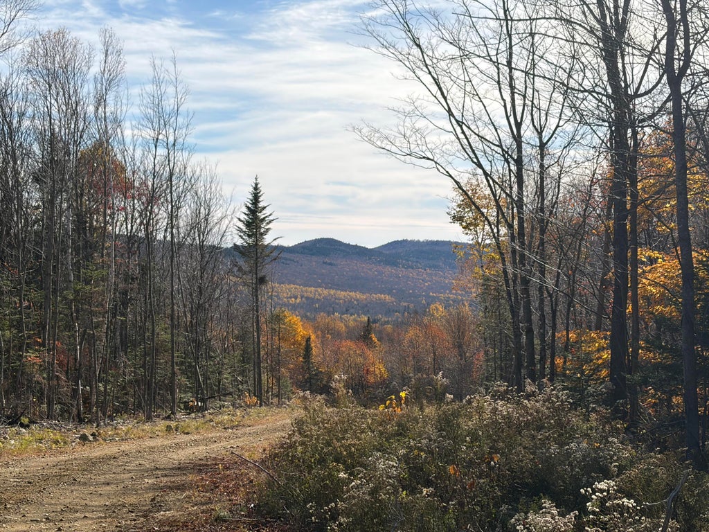 Photo of Lot B Taylor Woods Road, Temple, ME 04984 (MLS # 1684867)