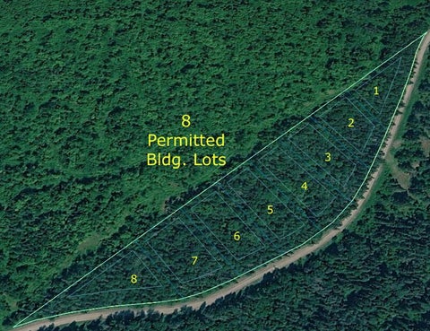 Photo of 8_Lots Blaine School Road, Fort Kent, ME 04743 (MLS # 1666073)