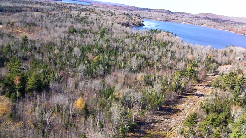 Photo of Lot #3 Runamuck Road, Perry, ME 04667 (MLS # 1686153)