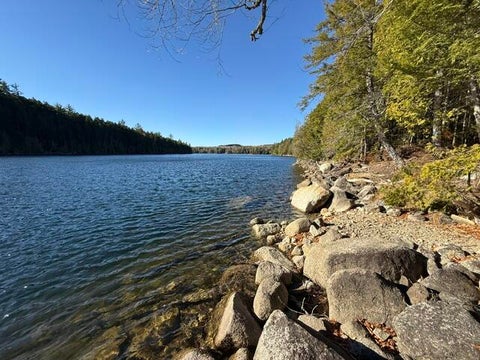 Photo of 200 Upper Dark Cove Road, Weston, ME 04424 (MLS # 1685827)
