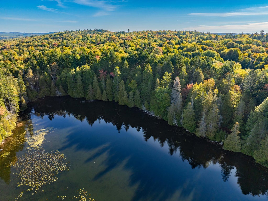 Photo of 133 Halls Mills Road, Whiting, ME 04691 (MLS # 1682152)
