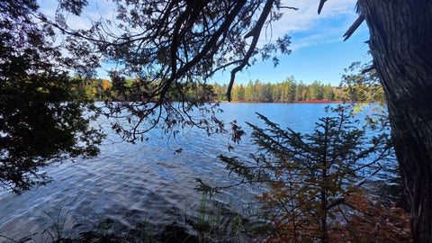 Photo of Lot 516 Ash Street, Wesley, ME 04686 (MLS # 1685913)
