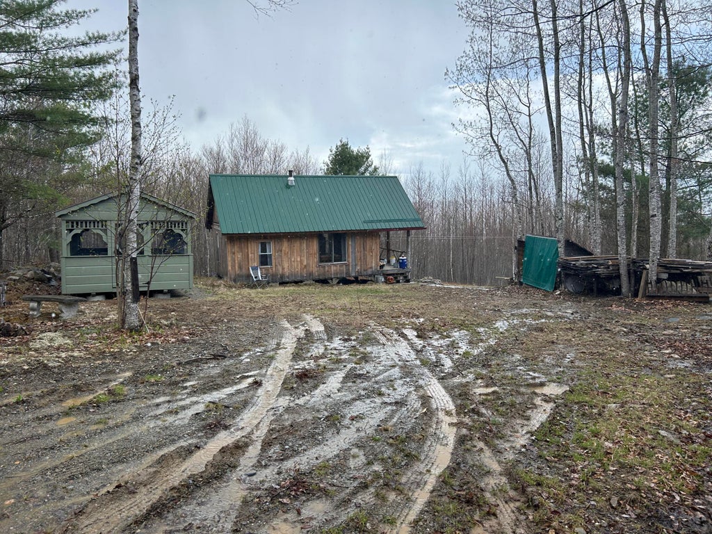 Photo of 000 James Jipson Road, Lowell, ME 04493 (MLS # 1661875)