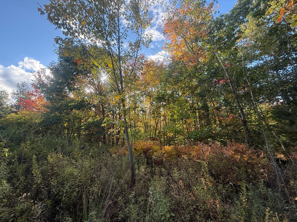 Photo of 11&amp;15 Bagaduce Lane, Sedgwick, ME 04676 (MLS # 1684423)