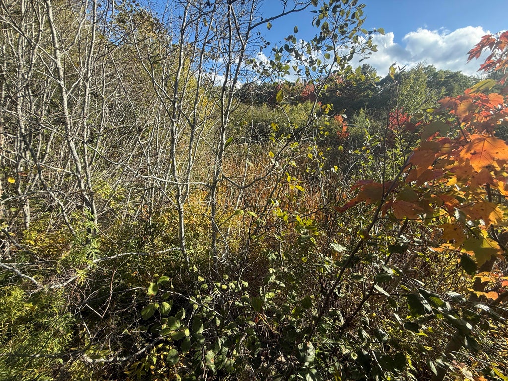 Photo of 11&amp;15 Bagaduce Lane, Sedgwick, ME 04676 (MLS # 1684423)