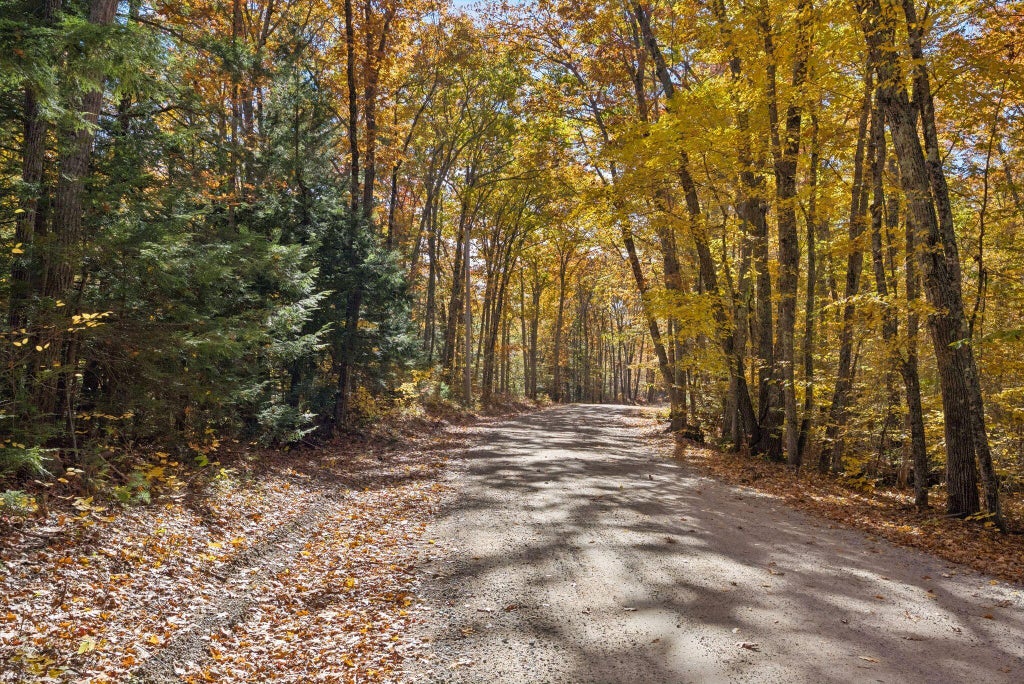 Photo of Lot 3-1 Goding Road, Acton, ME 04001 (MLS # 1685193)