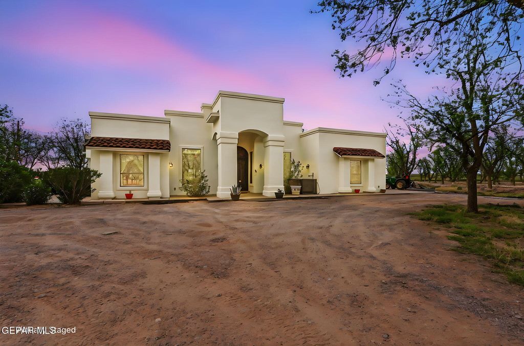 Photo of 617 WALLACE Road, Anthony, NM 88021 (MLS # 942280)