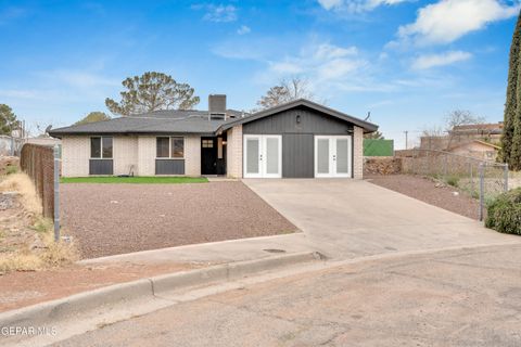 845 NITA FAY Drive El Paso TX 79912