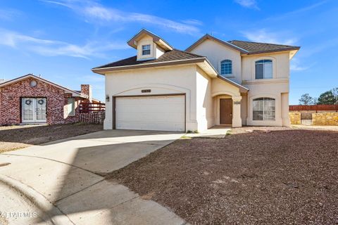 11696 PATRICK JAMES Court El Paso TX 79936