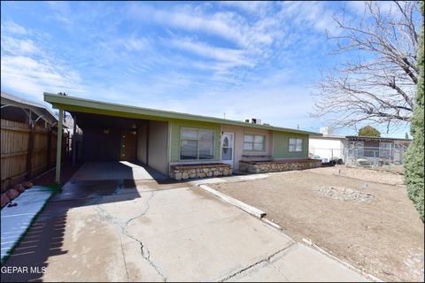 9143 MATTERHORN Drive El Paso TX 79924