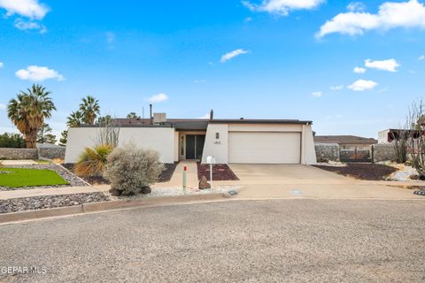1417 MONTE NEGRO Drive El Paso TX 79935
