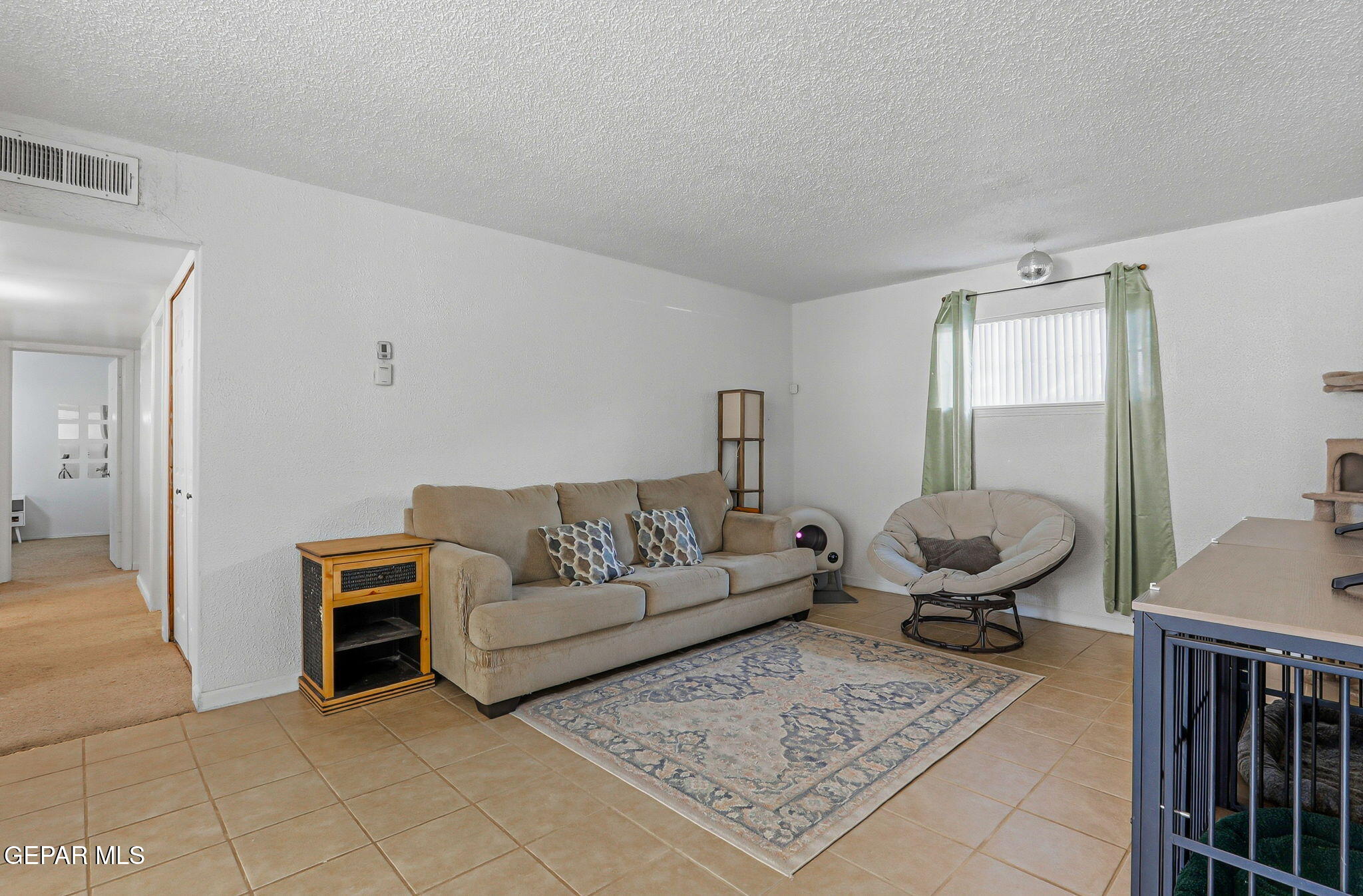 9160 MOUNT ETNA Drive