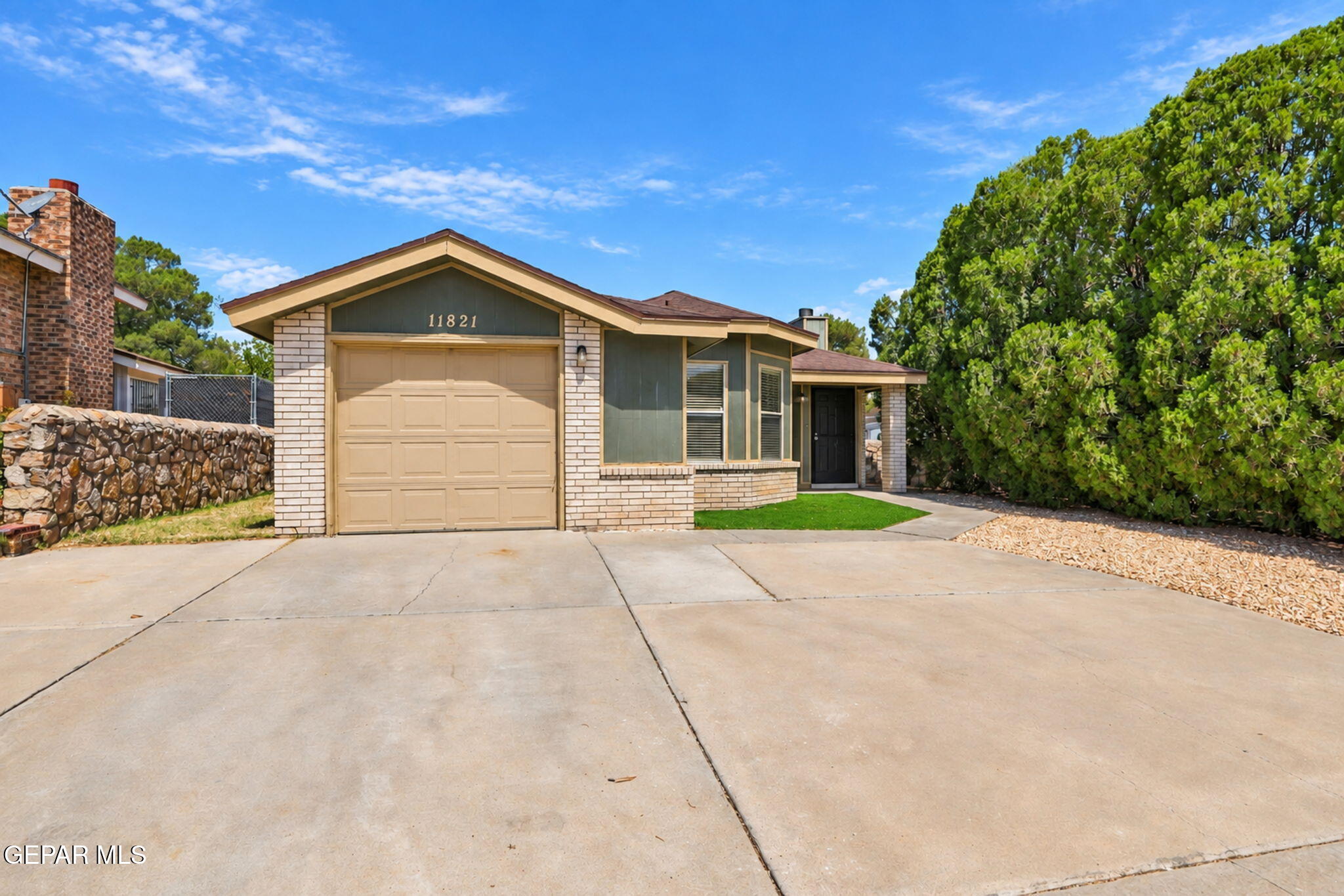 11821 FRANK SHORTER Lane