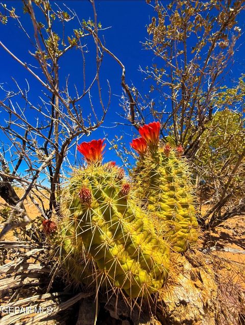 5201 Tamara Drive El Paso TX 79938