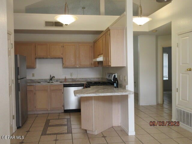 1233 DESIERTO SECO Drive